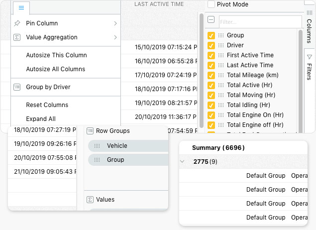 Group vehicle tracking reports by entity and attribute