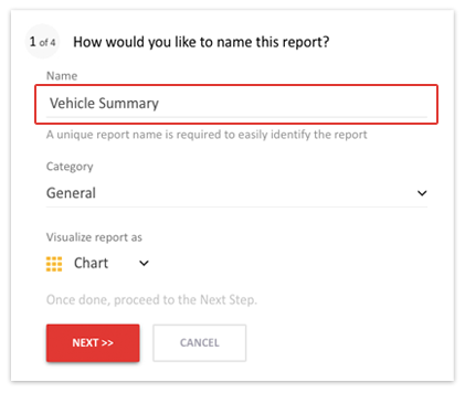 Name Your Report